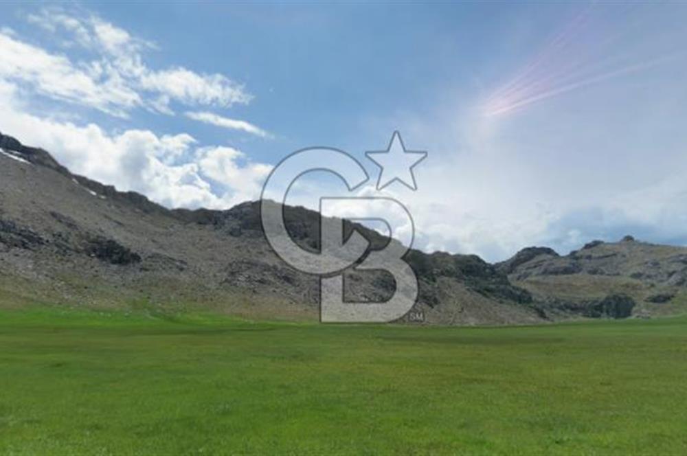 Antalya Akseki Bademli de Yatırımlık Satılık  Tarla 