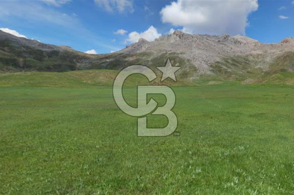Antalya Akseki Bademli de Yatırımlık Satılık  Tarla 