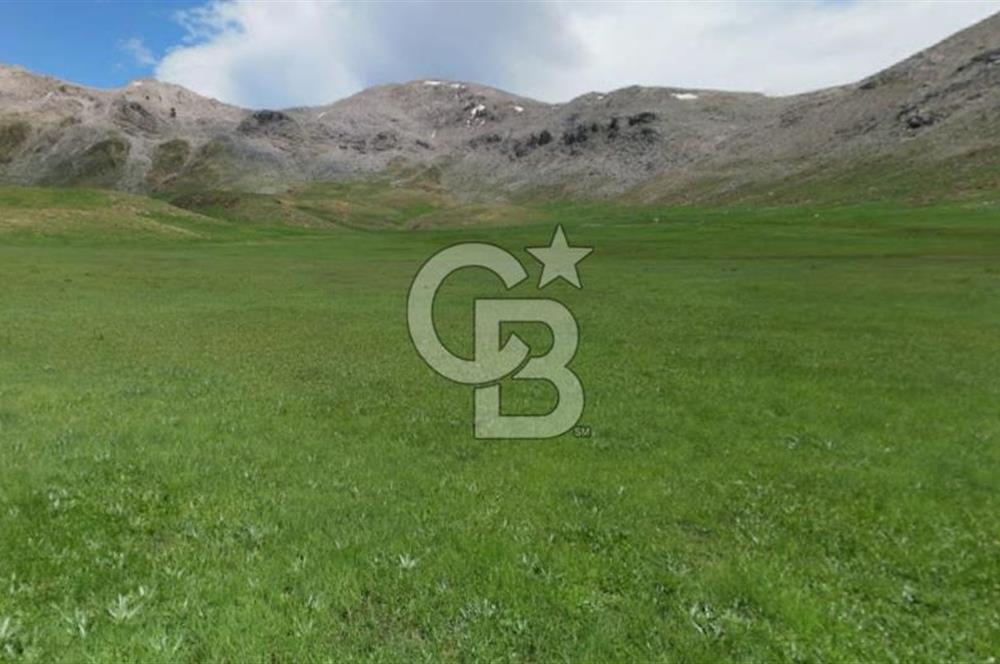 Antalya Akseki Bademli de Yatırımlık Satılık  Tarla 