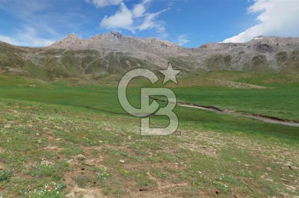 Antalya Akseki Bademli de Yatırımlık Satılık  Tarla 