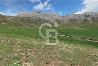 Antalya Akseki Bademli de Yatırımlık Satılık  Tarla 