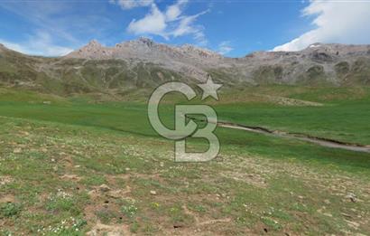 Antalya Akseki Bademli de Yatırımlık Satılık  Tarla 