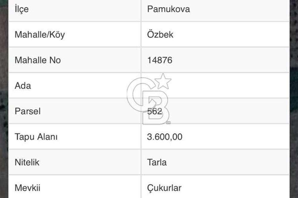 Sakarya Pamukovada Doğa İçinde 114 tane Ayva Ağaçlı Arazi