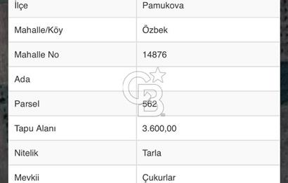 Sakarya Pamukovada Doğa İçinde 114 tane Ayva Ağaçlı Arazi