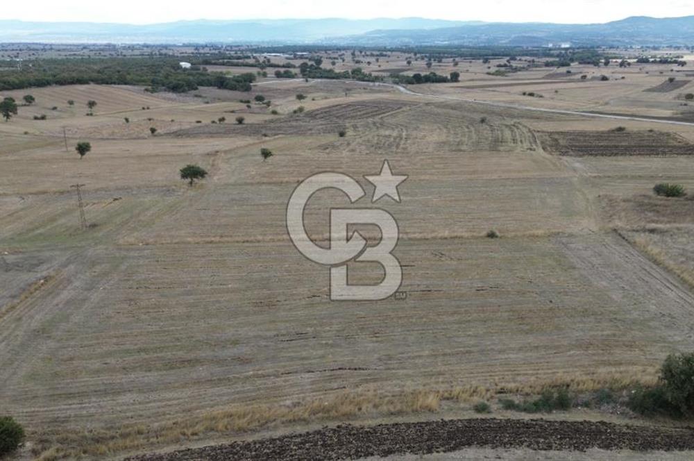 ÇANAKKALE BİGA YENİÇİFTLİK DE SATILIK TARLA