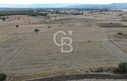 ÇANAKKALE BİGA YENİÇİFTLİK DE SATILIK TARLA