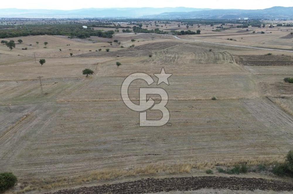 ÇANAKKALE BİGA YENİÇİFTLİK DE SATILIK TARLA