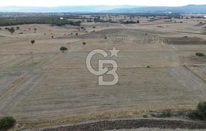 ÇANAKKALE BİGA YENİÇİFTLİK DE SATILIK TARLA