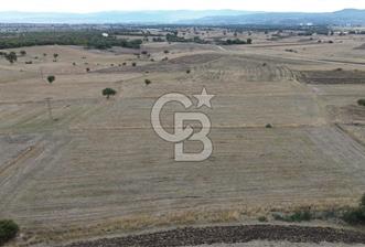 ÇANAKKALE BİGA YENİÇİFTLİK DE SATILIK TARLA