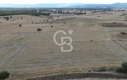 ÇANAKKALE BİGA YENİÇİFTLİK DE SATILIK TARLA