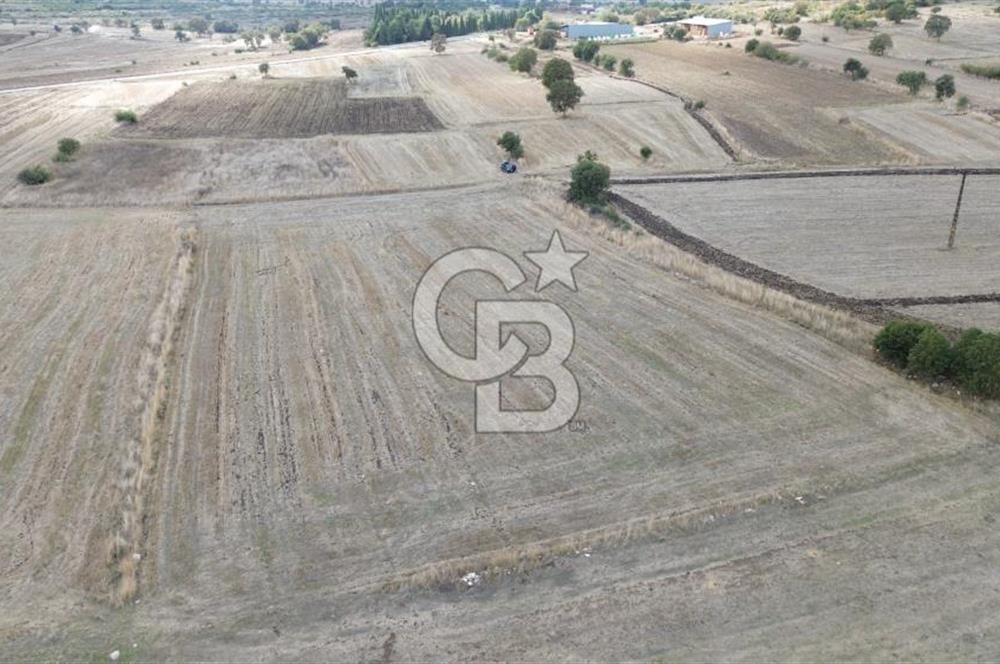 ÇANAKKALE BİGA YENİÇİFTLİK DE SATILIK TARLA