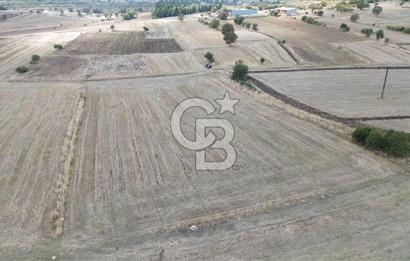 ÇANAKKALE BİGA YENİÇİFTLİK DE SATILIK TARLA