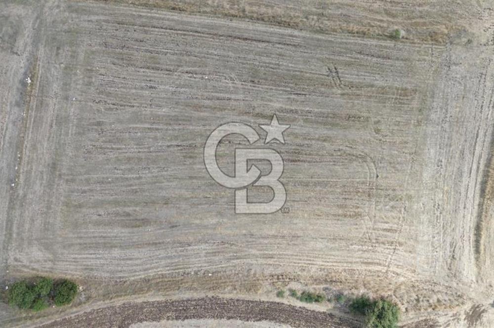 ÇANAKKALE BİGA YENİÇİFTLİK DE SATILIK TARLA