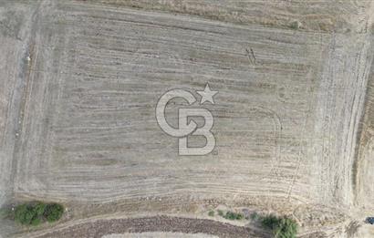 ÇANAKKALE BİGA YENİÇİFTLİK DE SATILIK TARLA