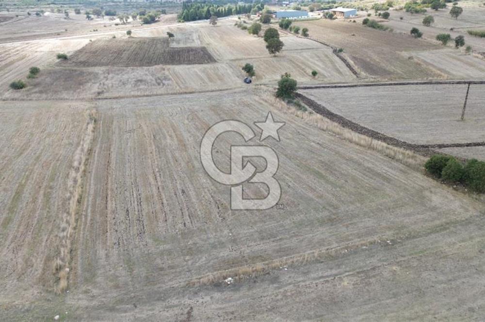 ÇANAKKALE BİGA YENİÇİFTLİK DE SATILIK TARLA