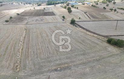 ÇANAKKALE BİGA YENİÇİFTLİK DE SATILIK TARLA