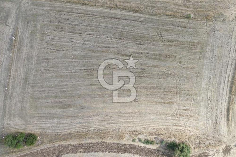 ÇANAKKALE BİGA YENİÇİFTLİK DE SATILIK TARLA