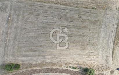 ÇANAKKALE BİGA YENİÇİFTLİK DE SATILIK TARLA