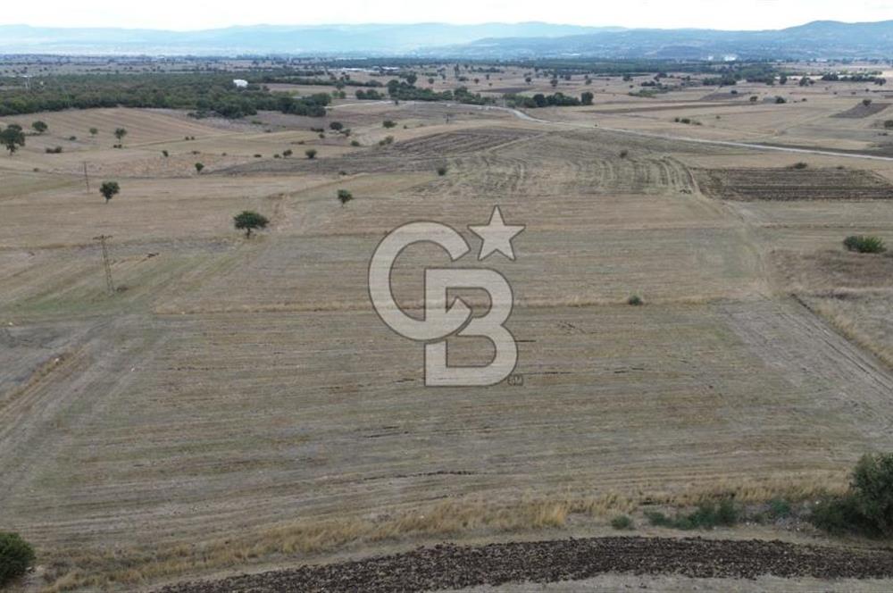 ÇANAKKALE BİGA YENİÇİFTLİK DE SATILIK TARLA