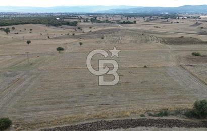 ÇANAKKALE BİGA YENİÇİFTLİK DE SATILIK TARLA