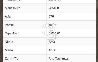 GÜDÜL GÜNEYCEDE