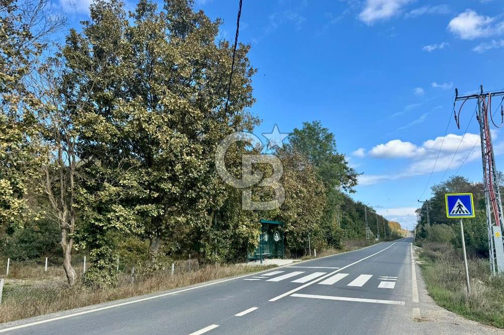 Çatalca Karacaköy'de Yatırıma Uygun 250 m² İmarlı Satılık Arsa