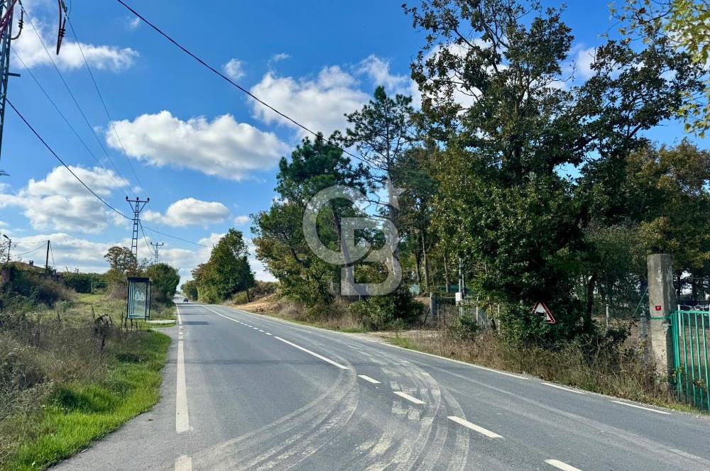 Çatalca Karacaköy'de Yatırıma Uygun 250 m² İmarlı Satılık Arsa
