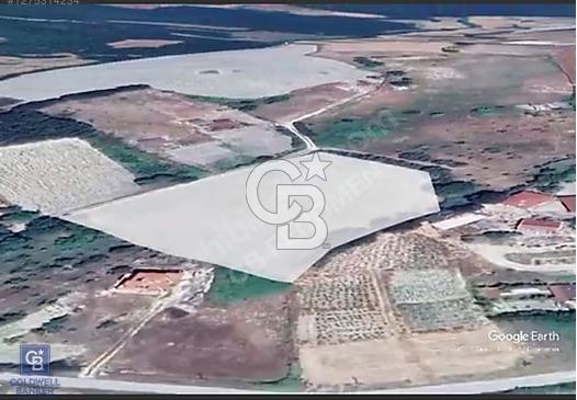 ÇATALCADA YOLA YAKIN YATIRIMLIK TARLA