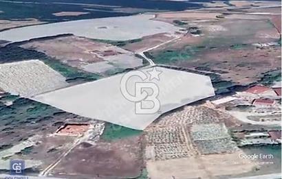 ÇATALCADA YOLA YAKIN YATIRIMLIK TARLA