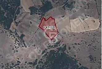 MANİSA KULA'da YATIRIMLIK TARLA 12.010 m2