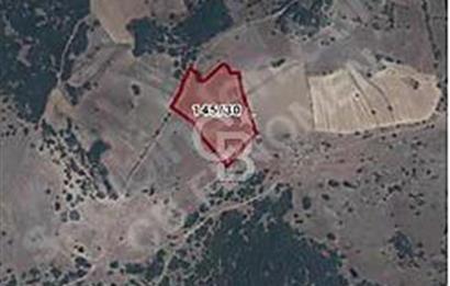 MANİSA KULA'da YATIRIMLIK TARLA 12.010 m2