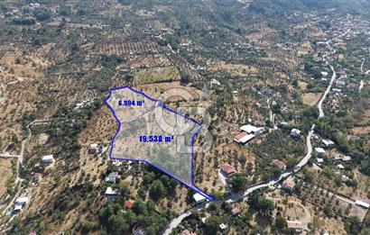 Kemalpaşa Aşağıkızılca'da 19,538 M2 Satılık Tarla