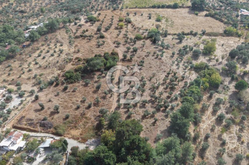 Kemalpaşa Aşağıkızılca'da 6,594 M2 Satılık Tarla