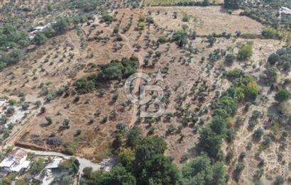 Kemalpaşa Aşağıkızılca'da 6,594 M2 Satılık Tarla