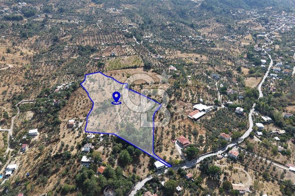 Kemalpaşa Aşağıkızılca'da 19,538 M2 Satılık Tarla