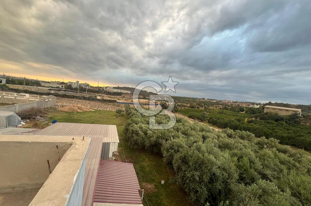 Mersin Akdeniz Tekke ÇİMSA Yakını Satılık Arsa 