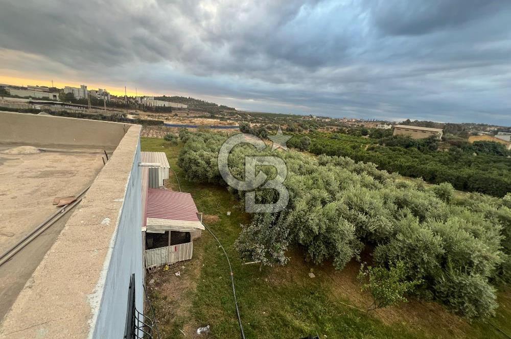 Mersin Akdeniz Tekke ÇİMSA Yakını Satılık Arsa 