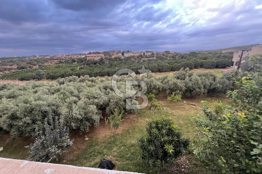 Mersin Akdeniz Tekke ÇİMSA Yakını Satılık Arsa 