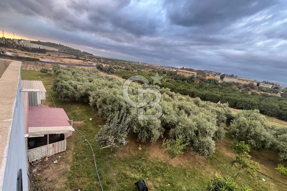 Mersin Akdeniz Tekke ÇİMSA Yakını Satılık Arsa 