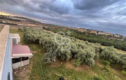 Mersin Akdeniz Tekke ÇİMSA Yakını Satılık Arsa 