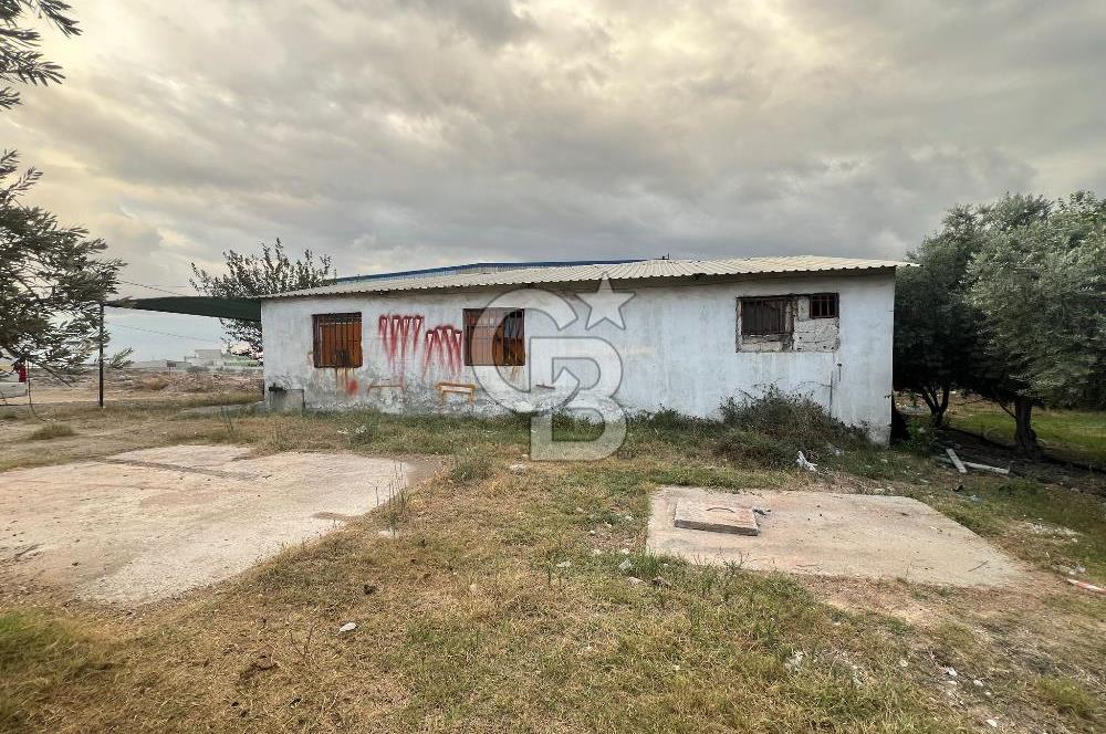 Mersin Akdeniz Tekke ÇİMSA Yakını Satılık Arsa 