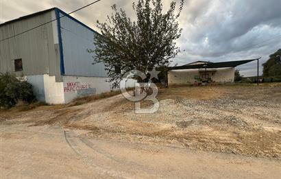 Mersin Akdeniz Tekke ÇİMSA Yakını Satılık Arsa 