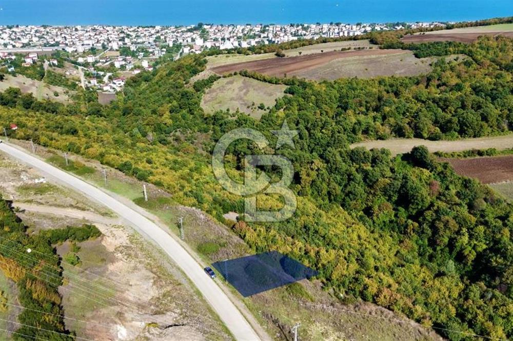 Orman Sınırında Deniz Manzaralı Köşe Parsel