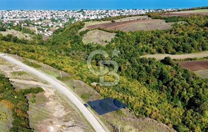 Orman Sınırında Deniz Manzaralı Köşe Parsel