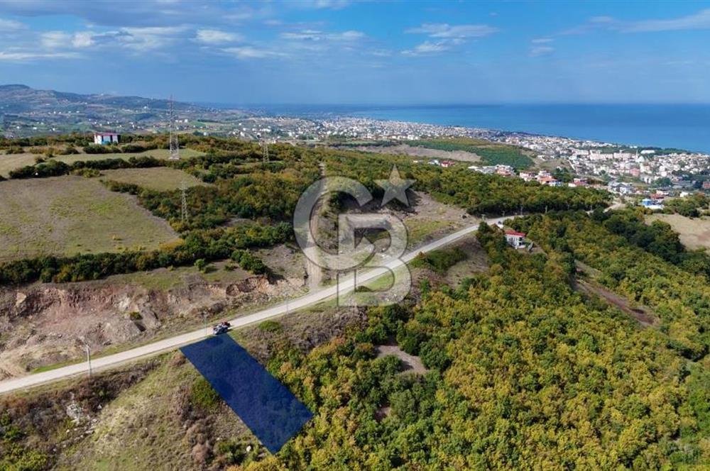 Orman Sınırında Deniz Manzaralı Köşe Parsel
