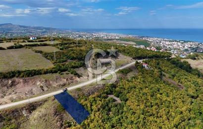 Orman Sınırında Deniz Manzaralı Köşe Parsel