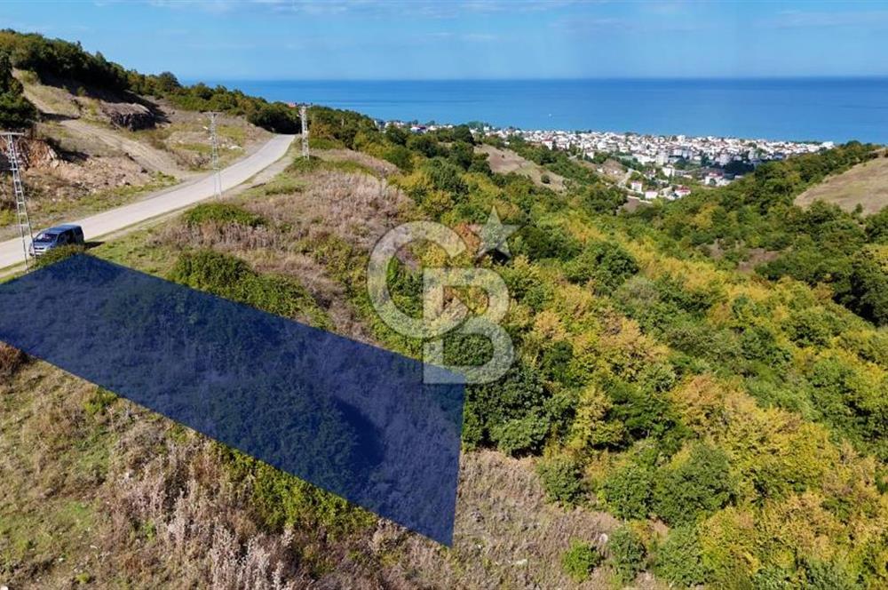 Orman Sınırında Deniz Manzaralı Köşe Parsel