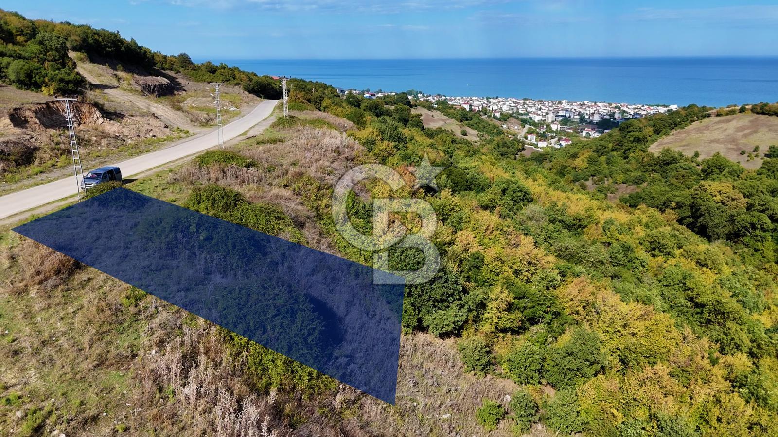 Orman Sınırında Deniz Manzaralı Köşe Parsel