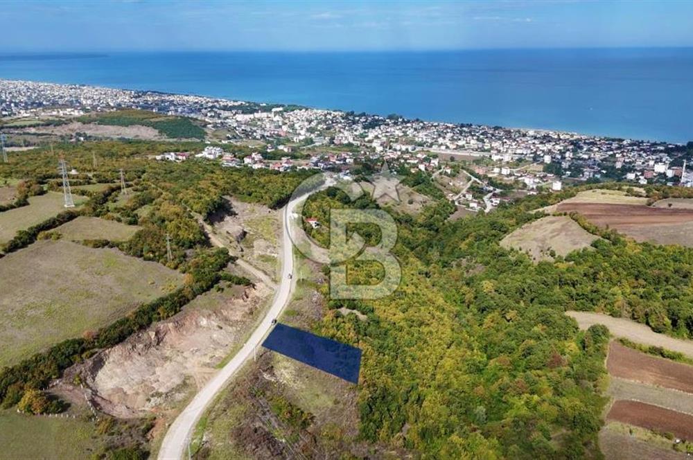 Orman Sınırında Deniz Manzaralı Köşe Parsel