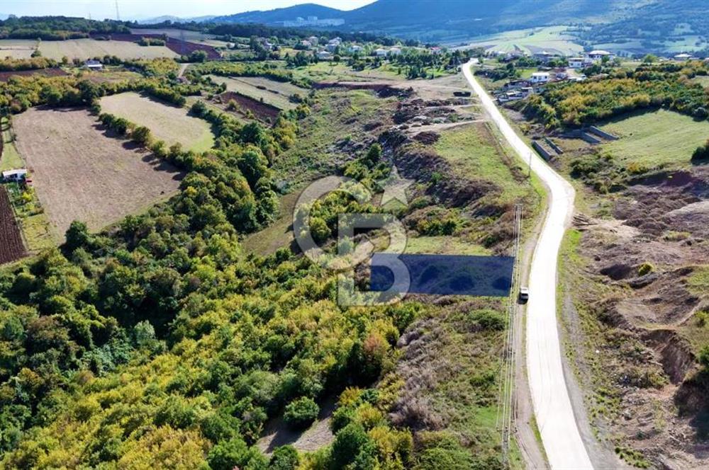 Orman Sınırında Deniz Manzaralı Köşe Parsel